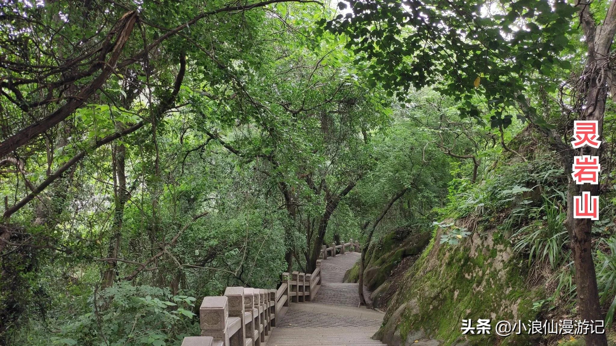 100个免费苏州景点，喜欢的赶紧收藏