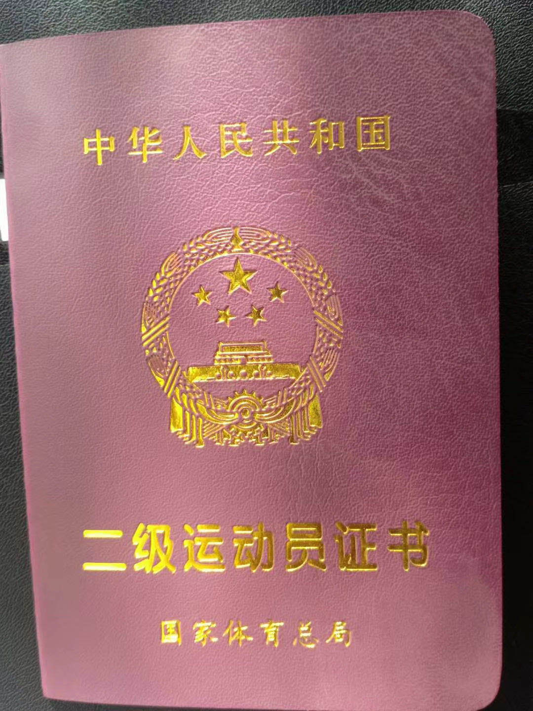 足球二级运动员可以考什么大学(孩子踢球没出路？青训优势明显，获一级证书可免试上一流大学)