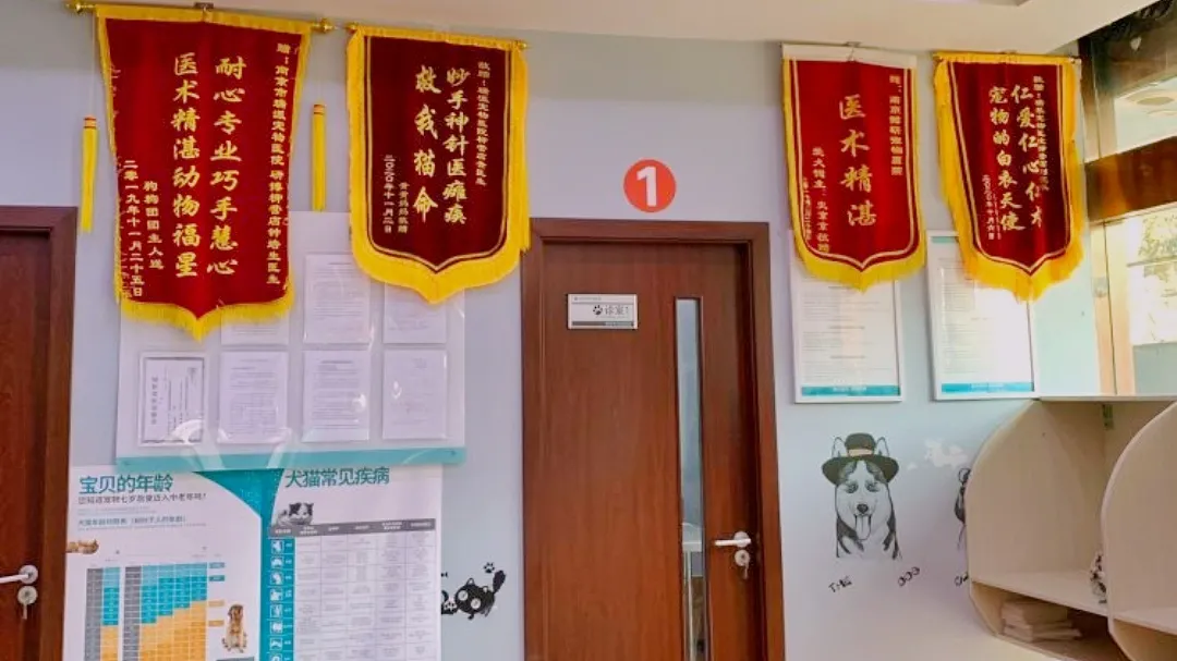 平凡而伟大：致敬最美兽医人