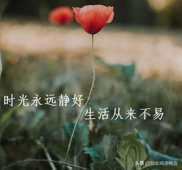 人生感悟的哲理短句,句句精辟透彻