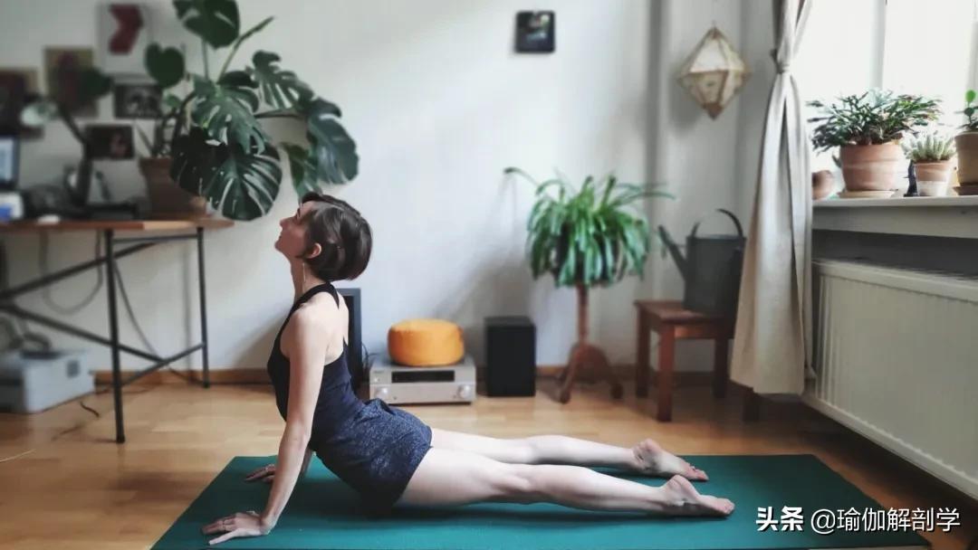 在家怎样练瑜伽(一套简单的瑜伽序列(23个动作)，超适合初学者，在家就能练)