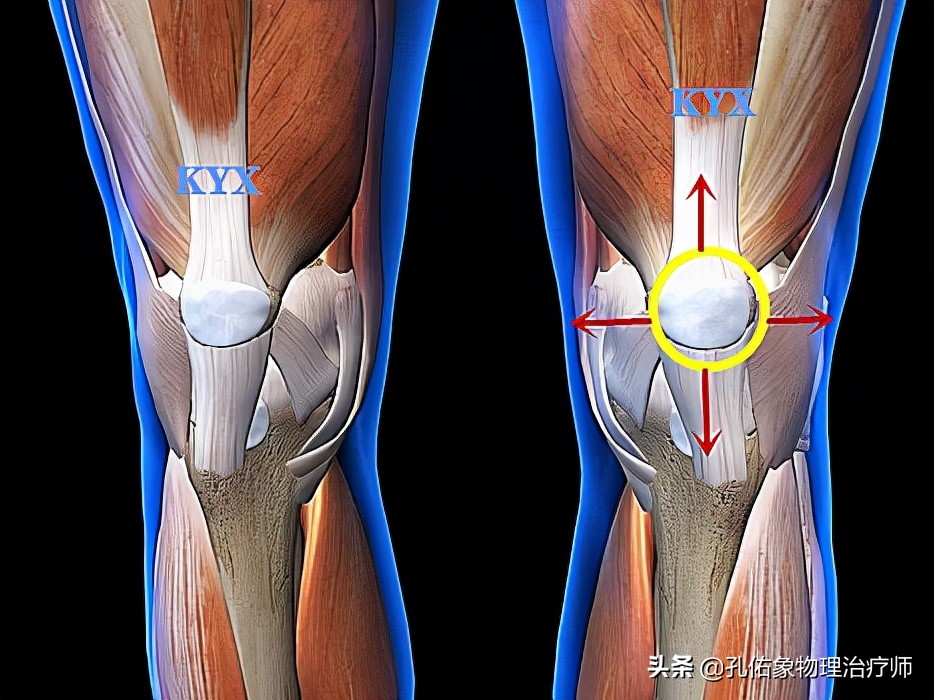 膝关节为什么疼痛？能治好吗？该如何应对呢？给您详细讲清楚