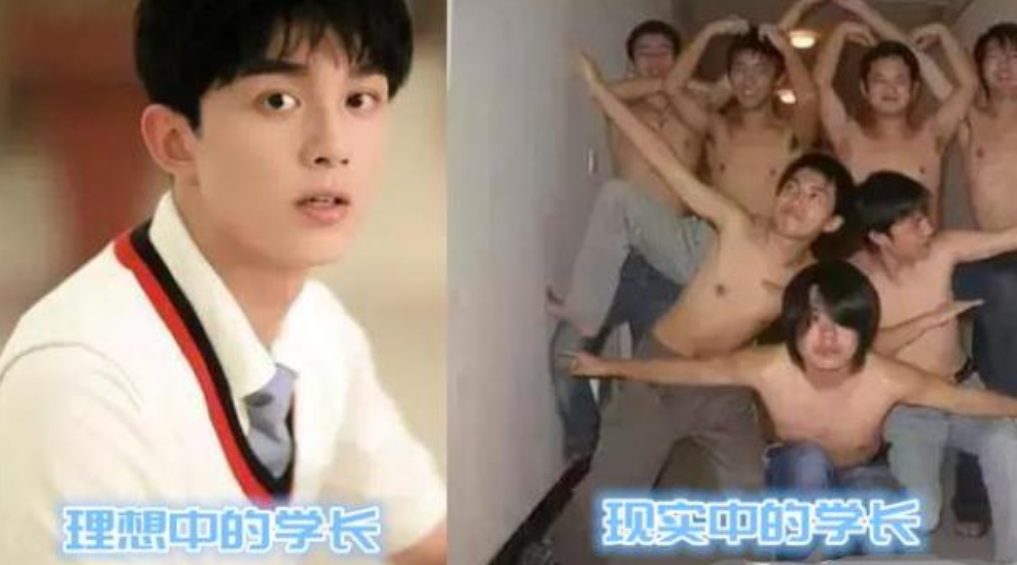 理想的大学和现实的大学，差距不止一星半点，入学欲望即刻消失