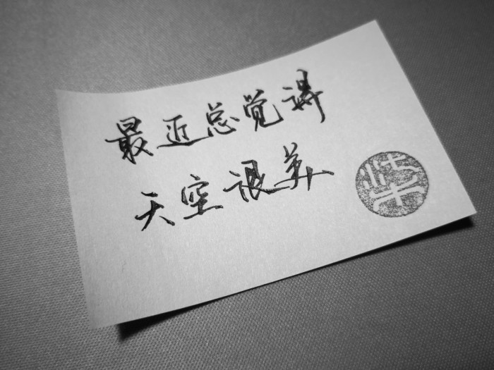 敬你一杯酒，从此莫回头，往事归零，爱恨随意，我干杯，你随意