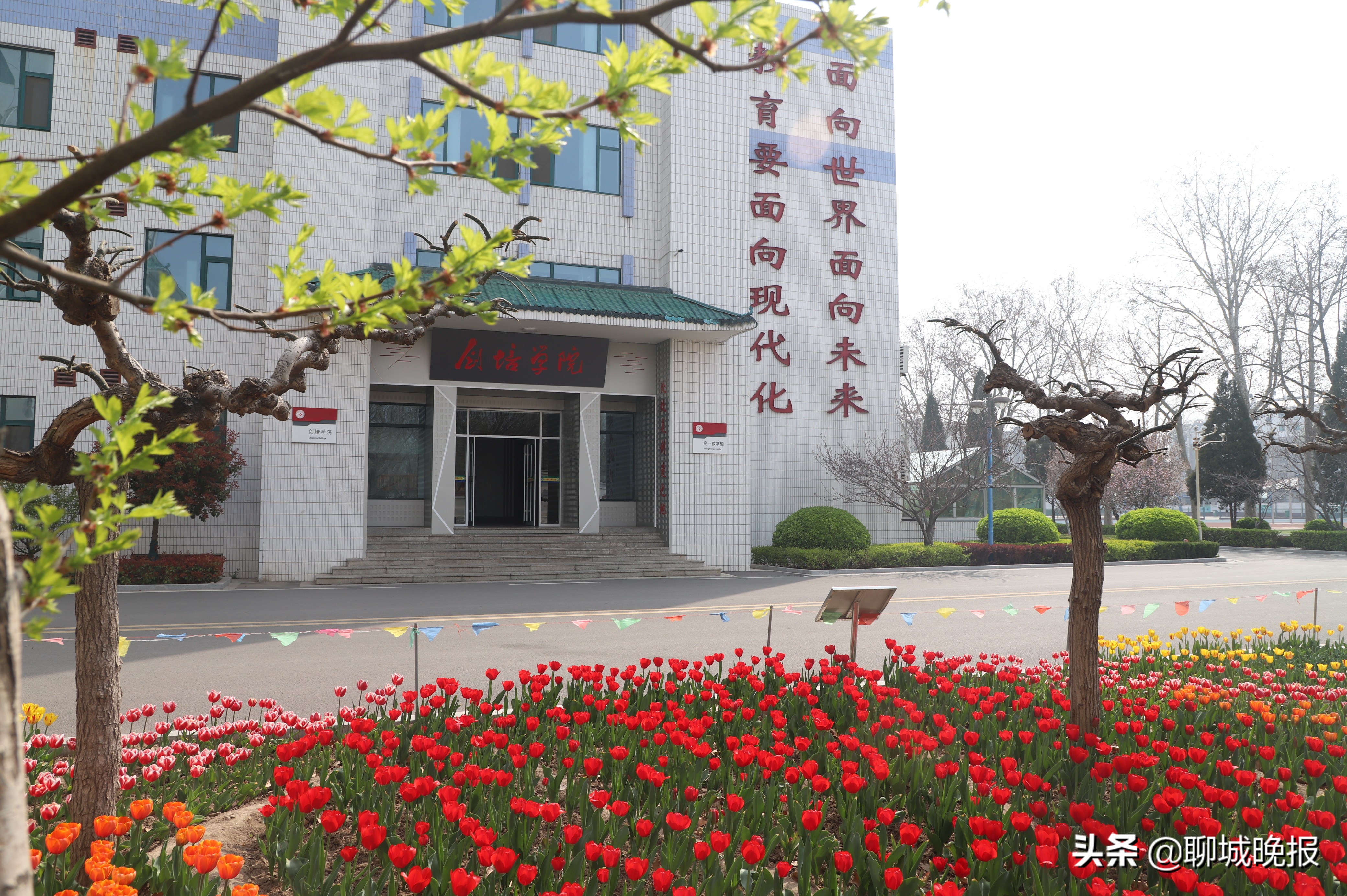 聊城一中，求学乐园：怀壮志以长行 携梦想而凌云