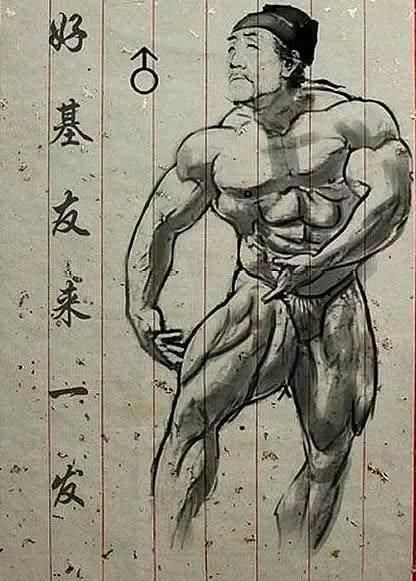 对了,他就是我们初中生物课本上的肌肉男形象,但是却被调皮的美术生和