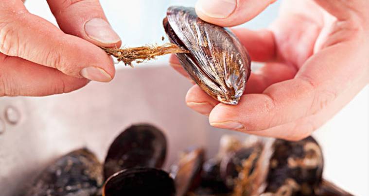 青口怎么做好吃(春天的青口新鲜又便宜,你知道怎么做更鲜吗?