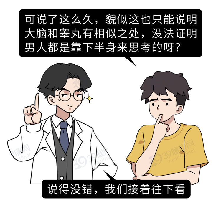 为什么男人会“好色”？科学解释：蛋蛋与大脑共享92%的蛋白质