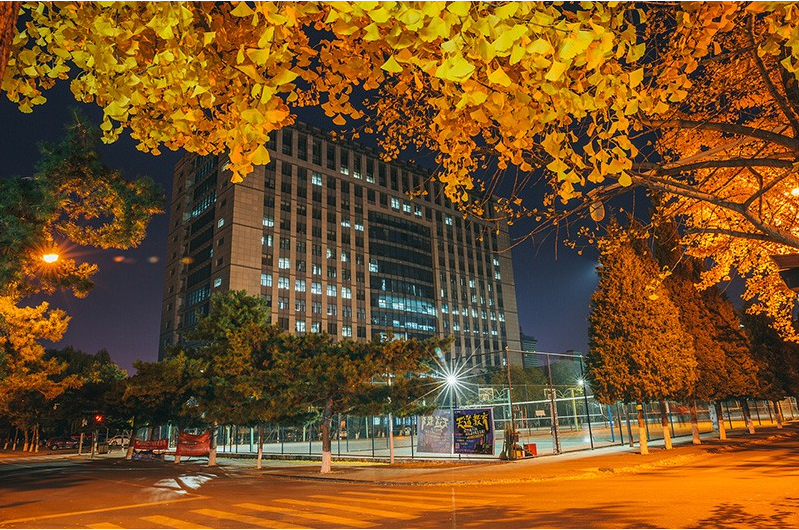 投档线已出！辽宁最低多少分能上985？省内值得报考的大学一览