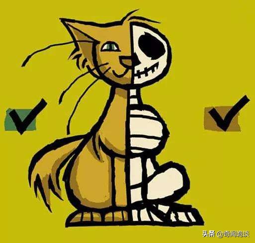 薛定谔的猫是什么意思 怎么确定猫认主人了