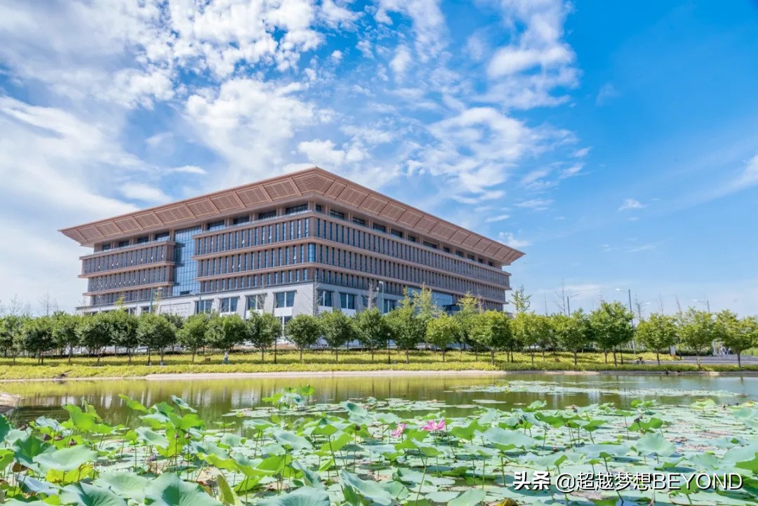 洛阳师范学院2020年河南省本科专业录取分数统计