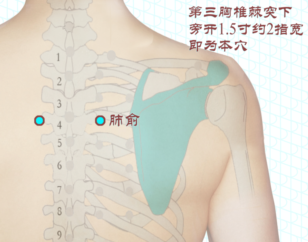 要想冬天不生病，立秋之后，这个器官千万要护好