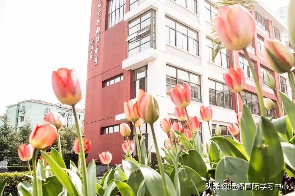 鼎石、包玉刚、世外、深外国际部等三十多所国际学校开放日汇总