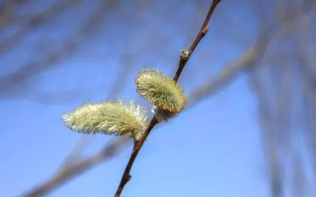 唯美的哲理短句子：若是幸福不在路的转角，那么它一定在路的尽头