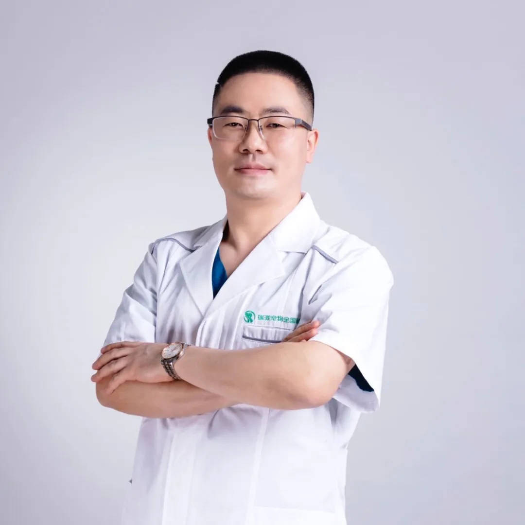 平凡而伟大：致敬最美兽医人
