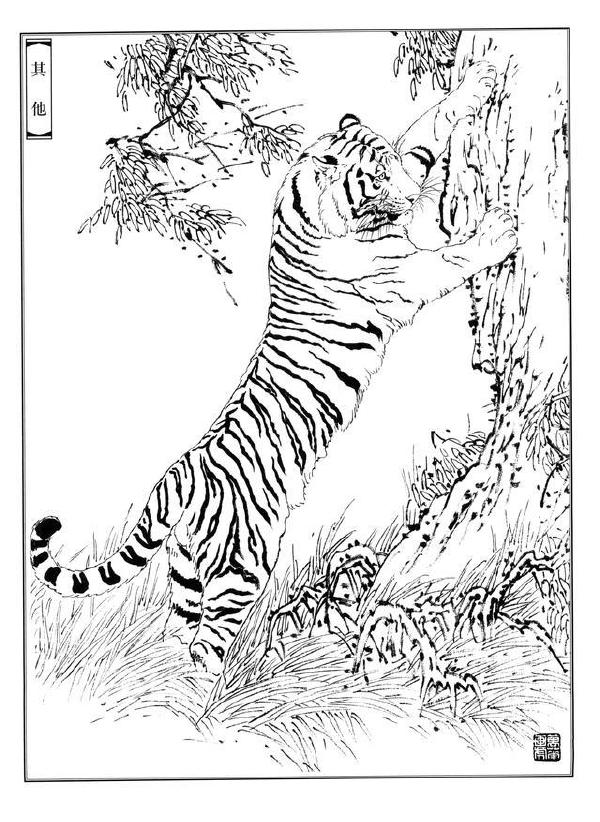 强壮的老虎简笔画(如何把虎画的虎虎生威，画出虎的气势？)