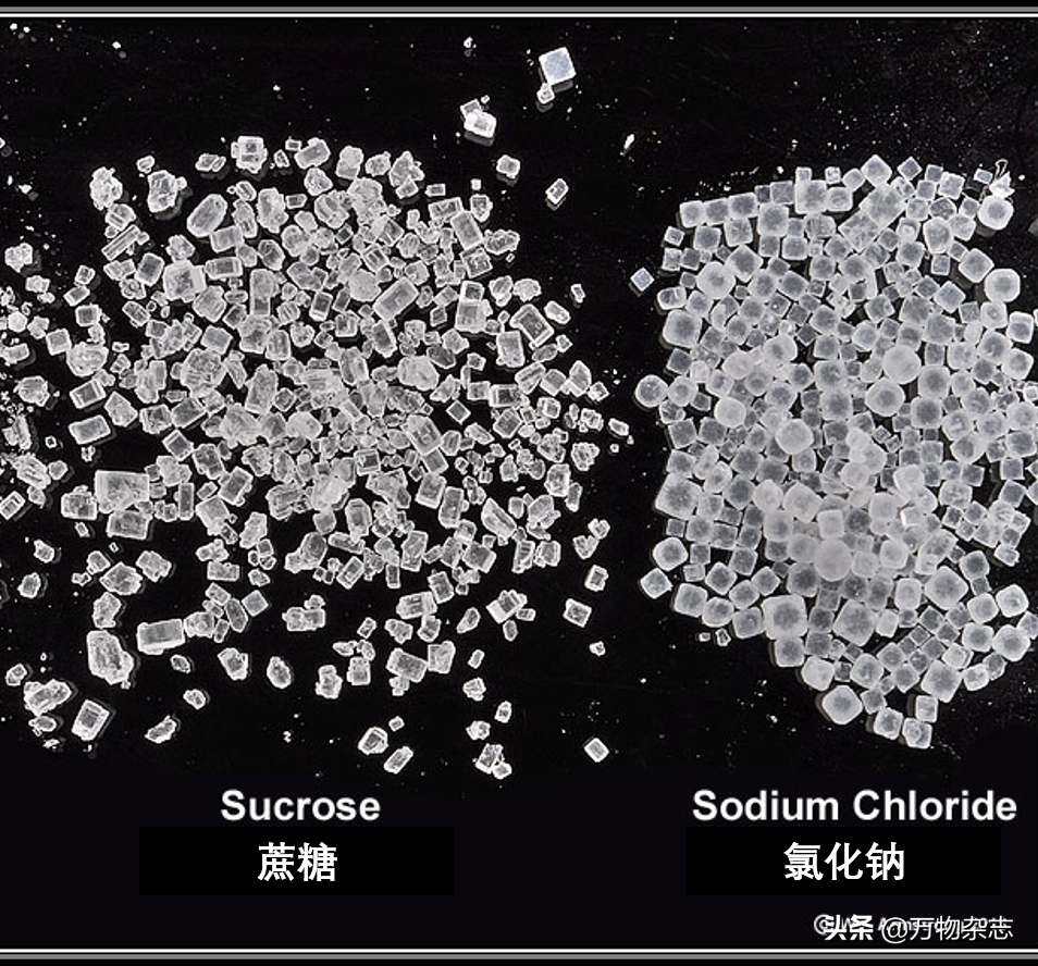 分离色素的方法（分离色素的方法生物）-第2张图片-昕阳网