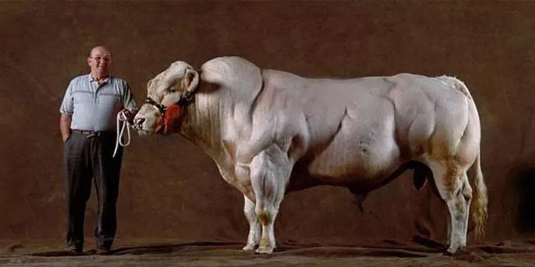 "大力王"迈克.奥赫恩:十项全能冠军,自然健美之王