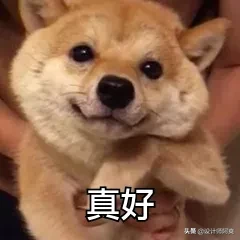 八辈子想不到,阳台还能这么装