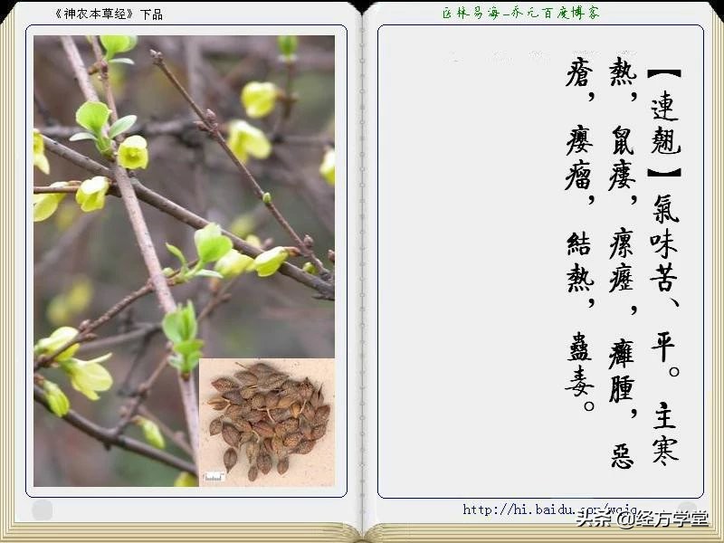 《神农本草经》全册图文解析 建议收藏