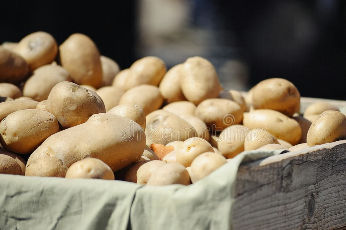 储存土豆有诀窍，分享一个土方法，不变绿不发芽，放一冬天也不坏