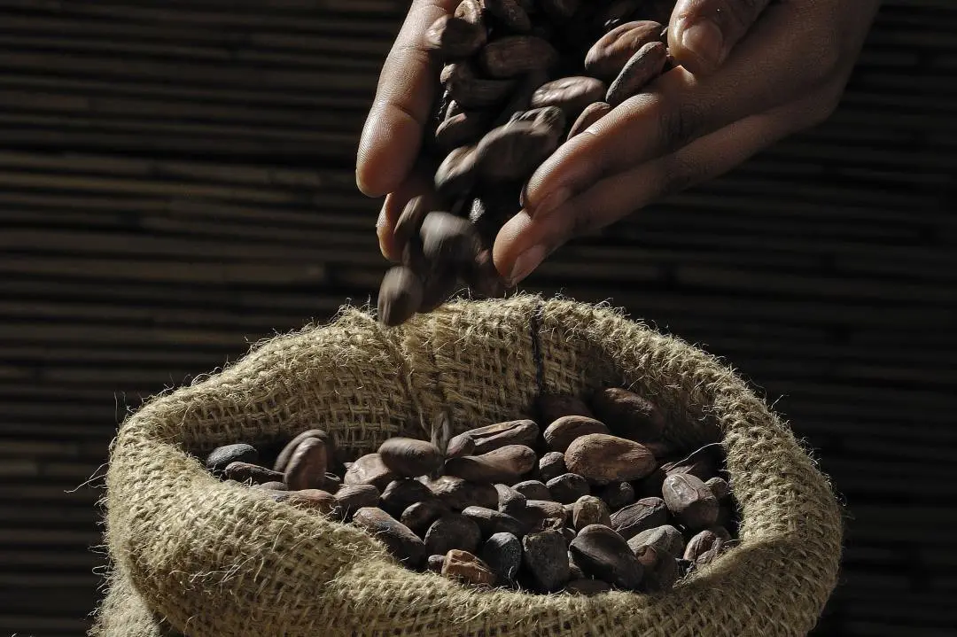 大家还只会用cook表示烹饪吗？教你更地道的表达，赶紧收藏