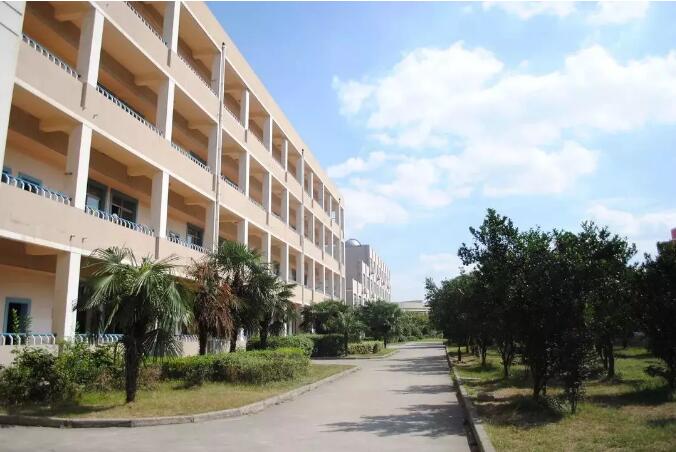 昆山青阳港实验学校(昆山青阳港实验学校孙老师)-爱妻自媒体