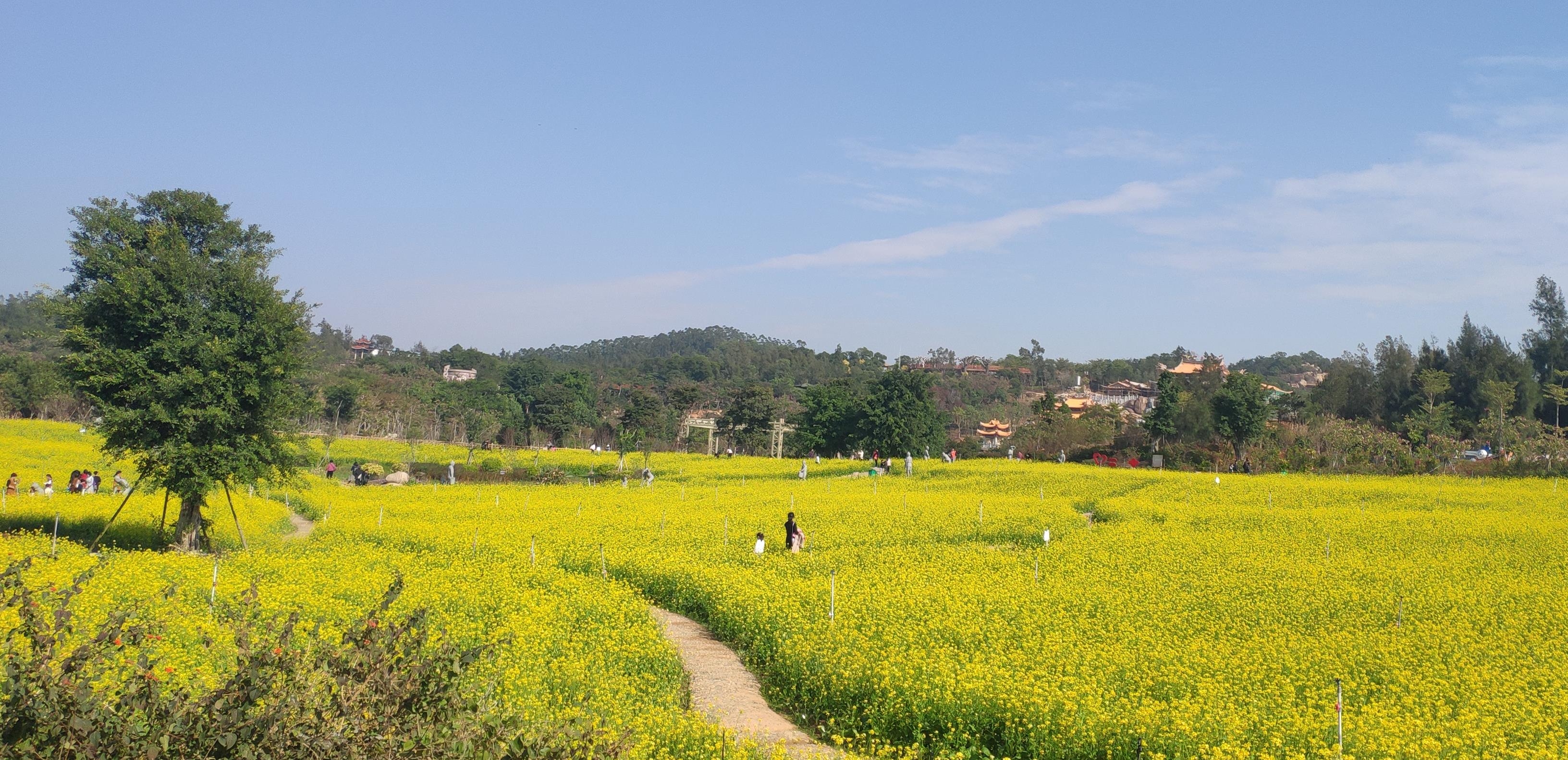 香山‘居士’