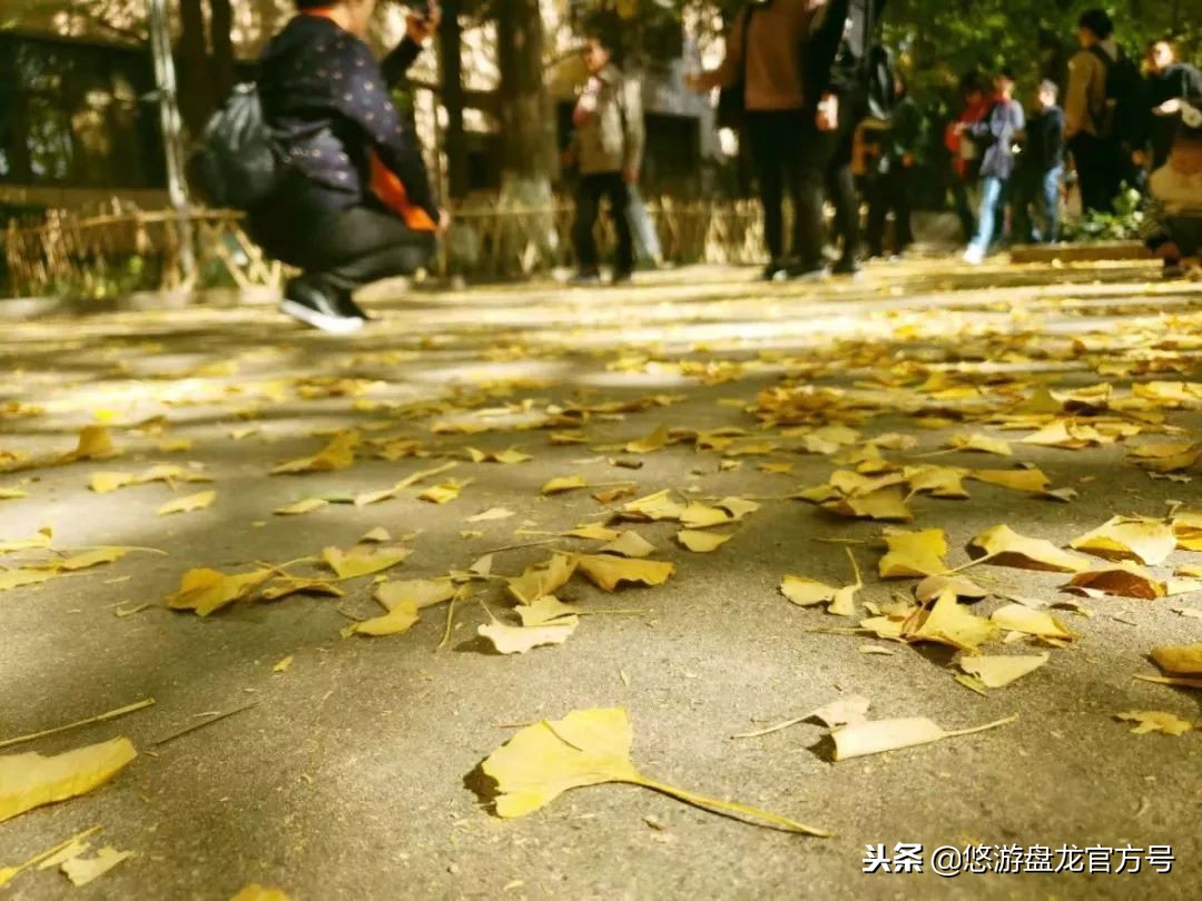 资讯｜昆明绝佳十大文艺拍照圣地，全部去过的请举手！
