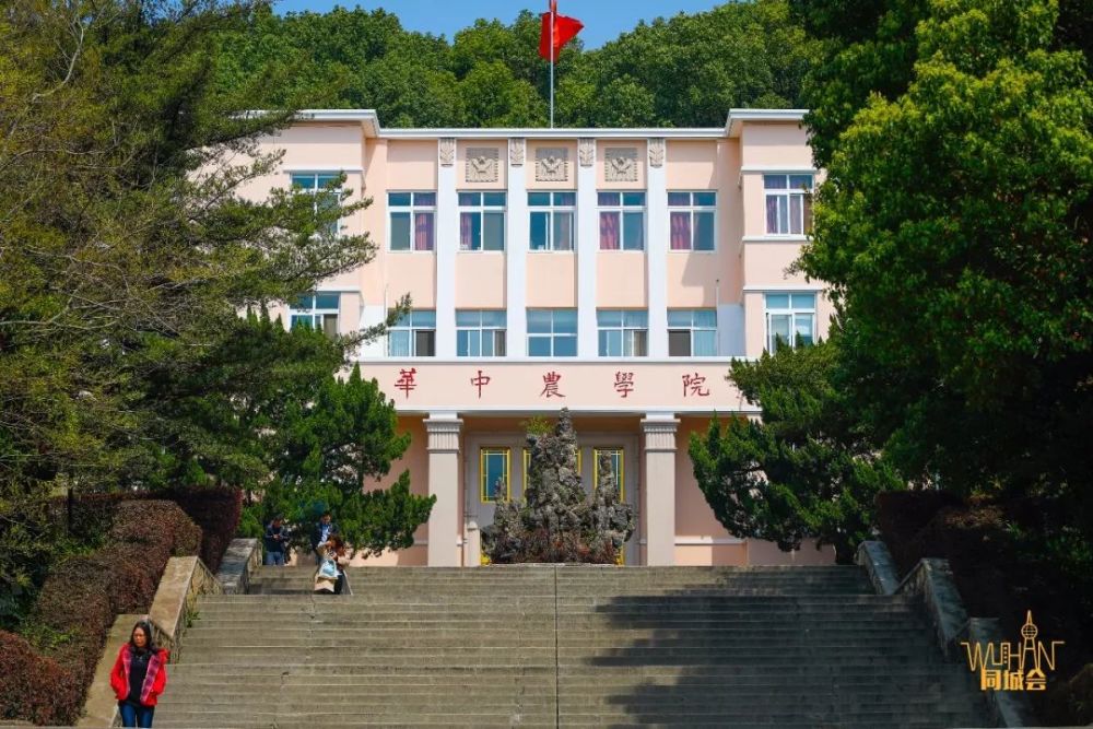 录取成绩分析：2021年艺考生报考华中农业大学需要多少分？