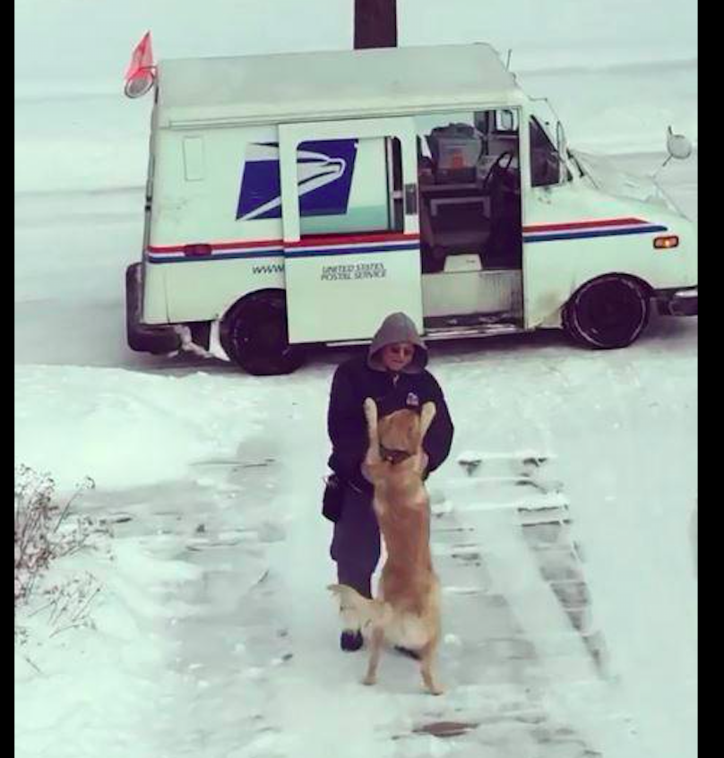 快递员痛失爱犬很伤心，却在工作中偶遇一只金毛，用拥抱温暖了他