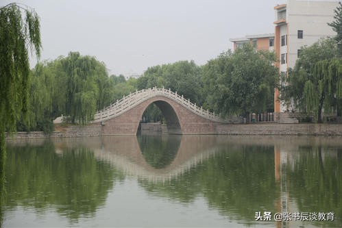 2020年高考500分，在山东省内能读哪些好大学？