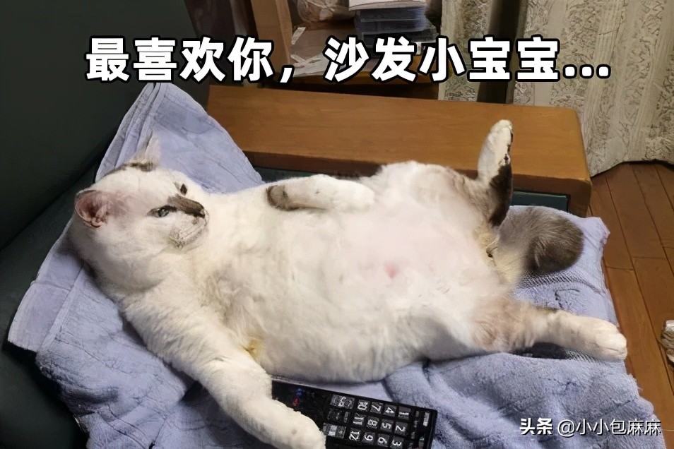 中年男人是如何把这个姿势做到全国统一的？