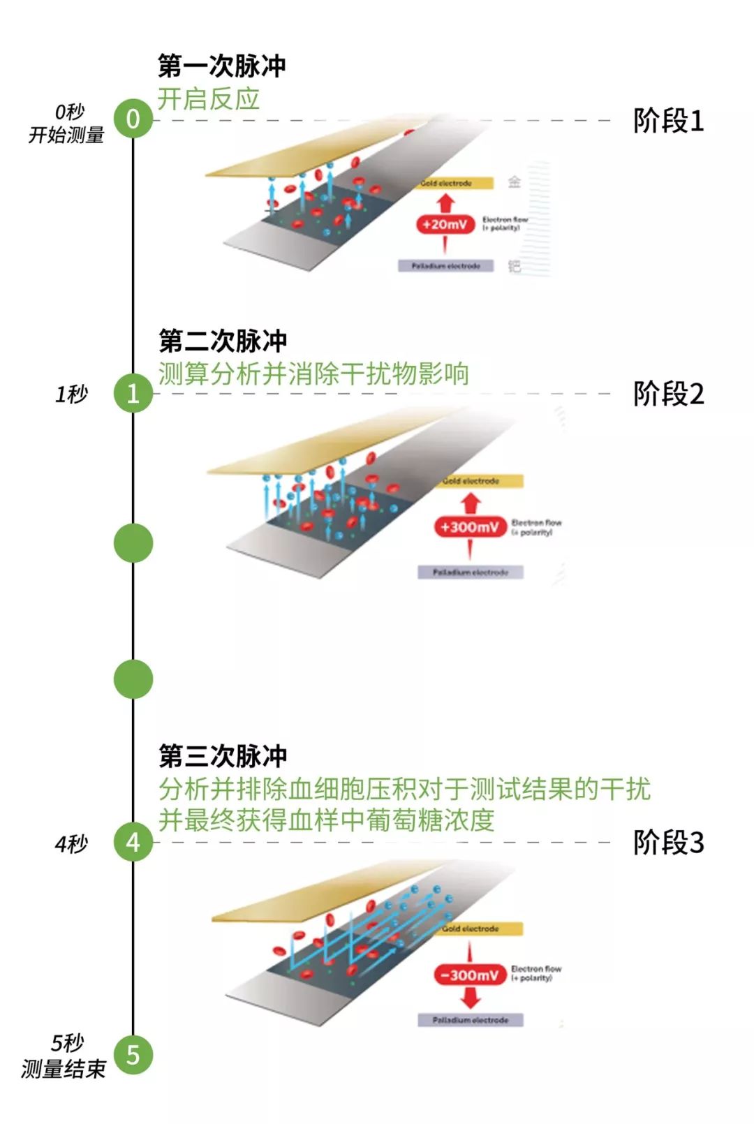 爸妈被虚假广告误导之后，我决定用科学进行反击