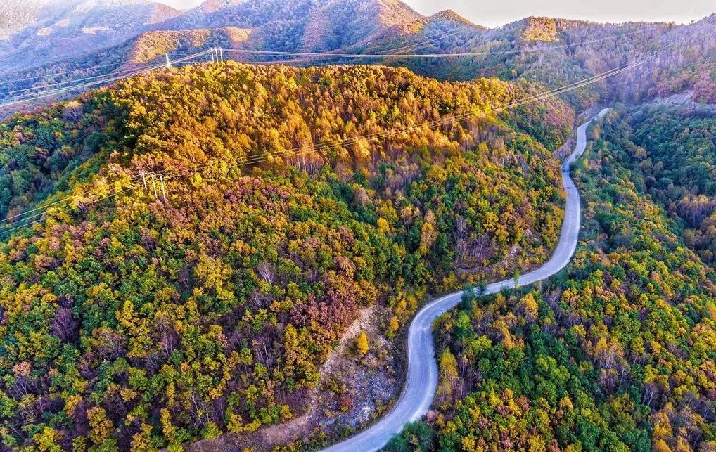 赏秋时节 | 打卡京郊这10条乡村公路，藏着北京最美的秋天