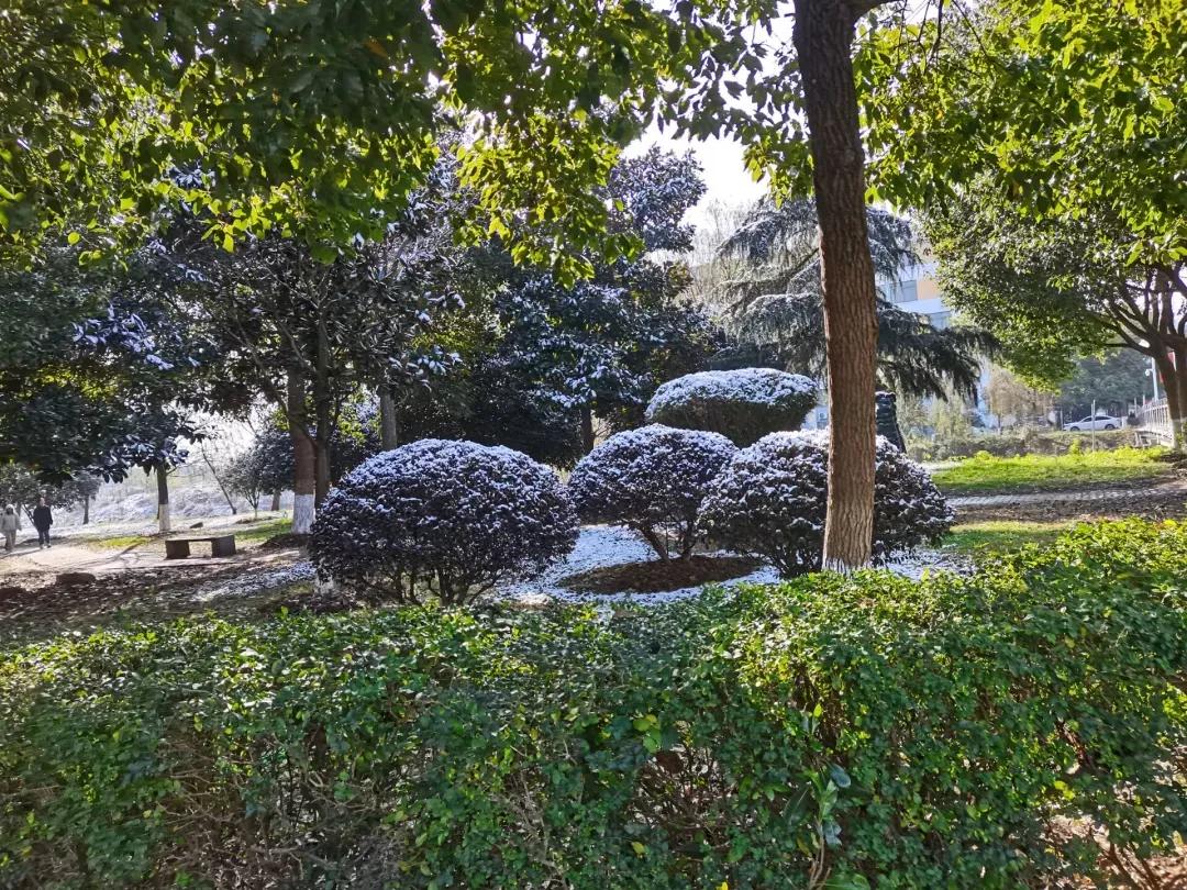江苏省高校（五十一）南京航空航天大学金城学院