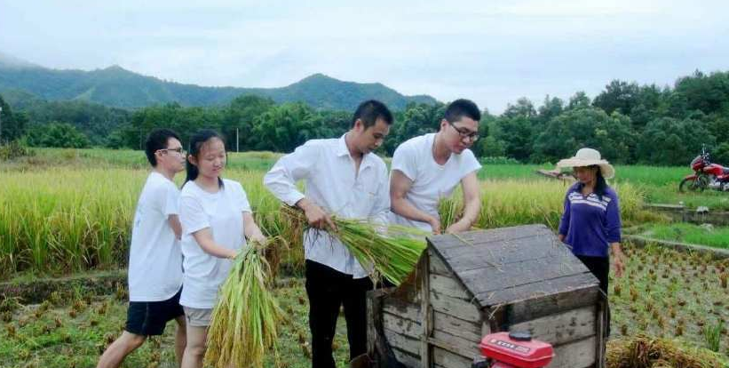 “回不去农村挤不进城市”，农村大学生的辛酸，真是现实且扎心