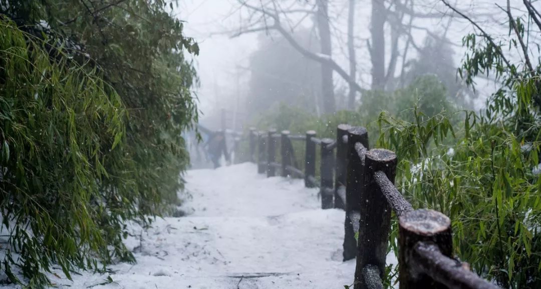 温泉＋初雪，来川内这6个地方邂逅冬季小确幸