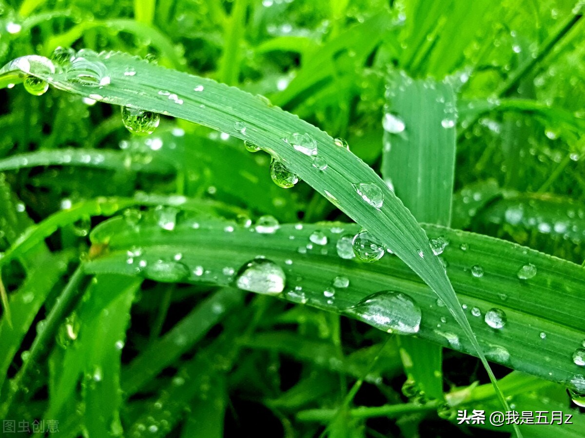 70岁老人 找老伴要45岁以下的 钱不是问题 婚后一月就傻眼 天天看点