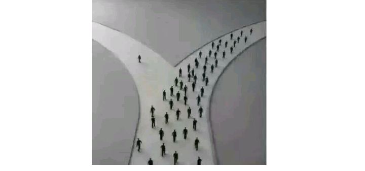 致樊胜美一样姑娘们：请让你的努力配得上你的梦想