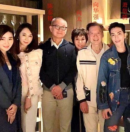 起底陈泰铭，让关之琳经历感情滑铁卢的富豪，到底有何过人之处？