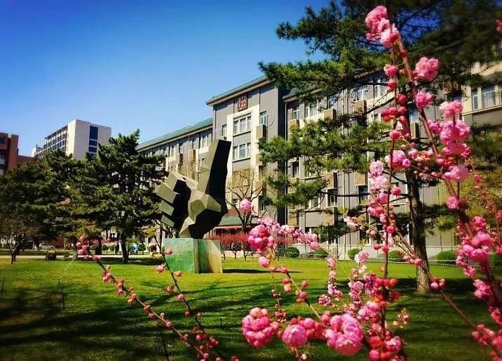 考研到底难不难？——以我考中国传媒大学研究生为例