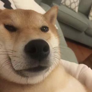 奥利奥夹心呀