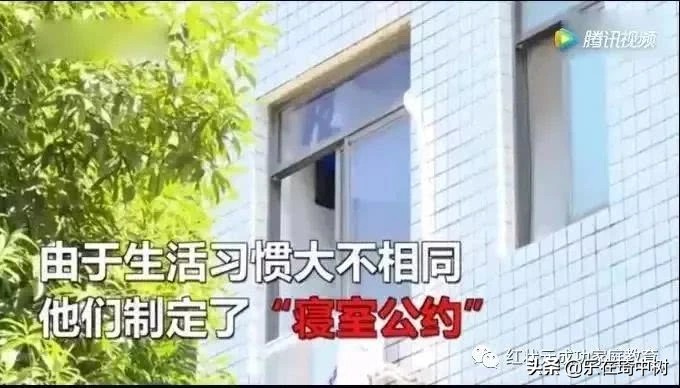 “学霸宿舍”频上热搜：好的人生，自律还需他律