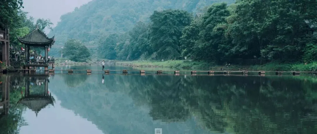 一行白鹭上青天（一行白鹭上青天,老子堵在路中间,一觉醒来）-第4张图片-科灵网