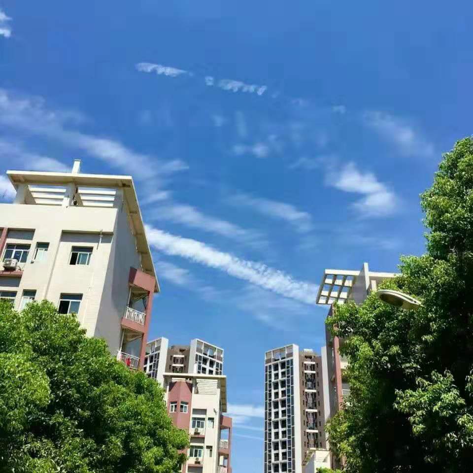 我的大学—在兵荒马乱中学着轻装简行