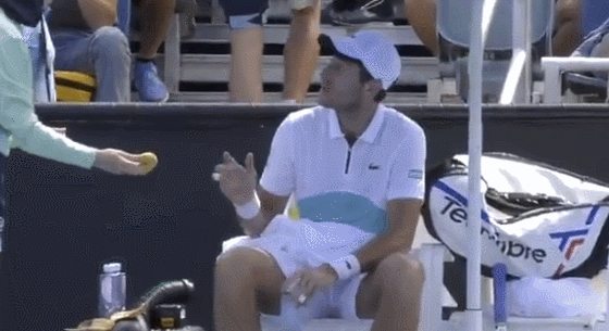 波普科网球(巨婴！澳网男选手要求女球童剥香蕉，球童一脸懵逼，裁判当场驳回)