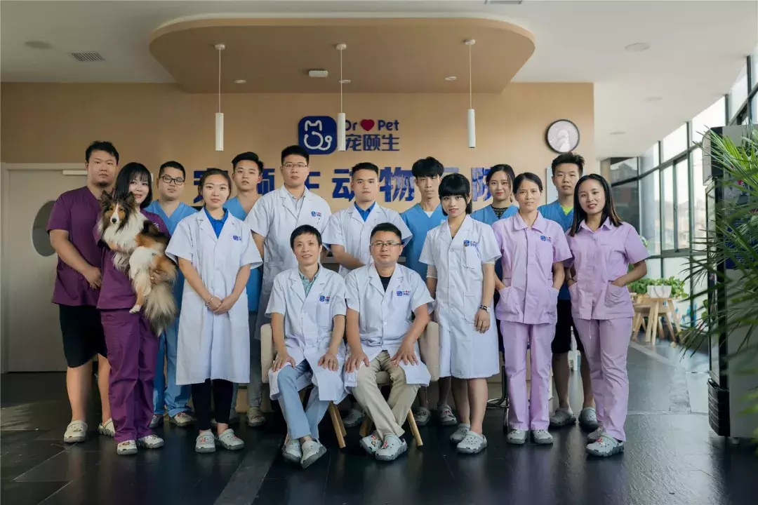 宠物知识丨宠颐生狗狗健康问答(14)解答你的爱宠难题