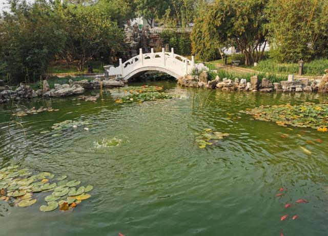 回顾北京凤凰岭地区如何成为网红景点：龙泉寺的灵魂作用不容忽视