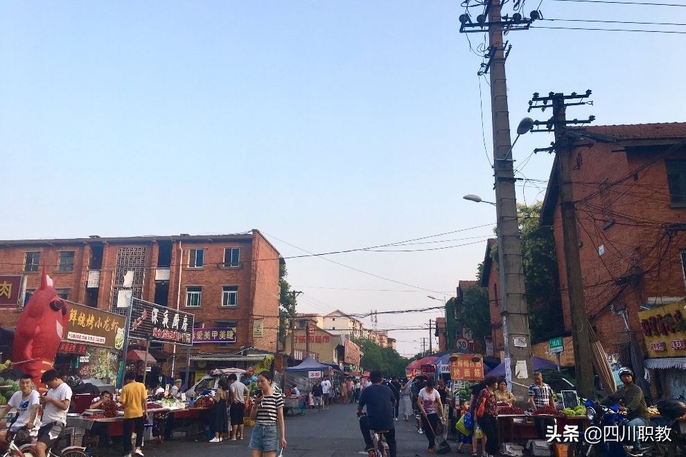 德阳一条马路之隔，诞生了2所王牌专科大学